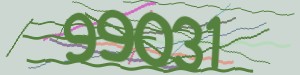 Click Refresh captcha code