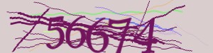 Click Refresh captcha code