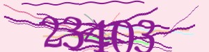 Click Refresh captcha code