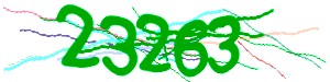 Click Refresh captcha code