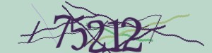 Click Refresh captcha code