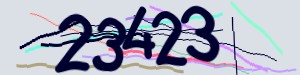 Click Refresh captcha code