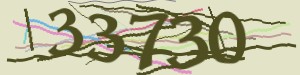 Click Refresh captcha code