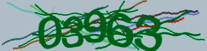 Click Refresh captcha code