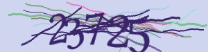 Click Refresh captcha code