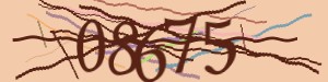 Click Refresh captcha code
