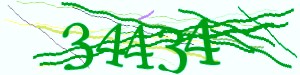 Click Refresh captcha code