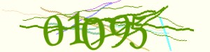 Click Refresh captcha code