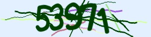 Click Refresh captcha code
