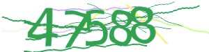 Click Refresh captcha code