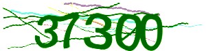 Click Refresh captcha code